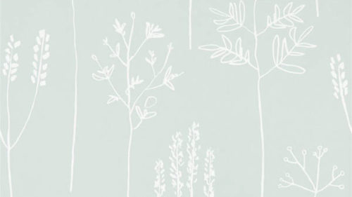 Stipa 112020